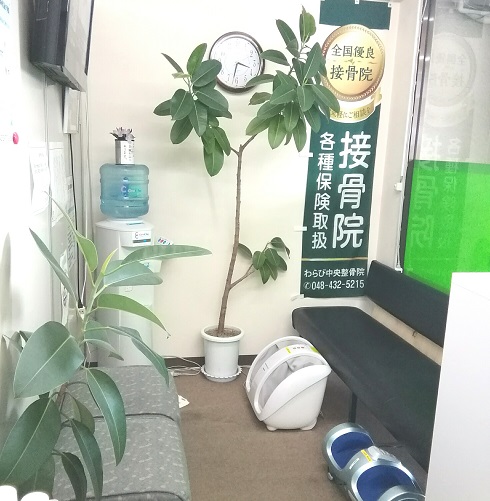 わらび中央整骨院　③